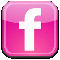 Pinkpopfestival op Facebook