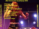 After Forever 2002