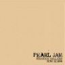 Pearl Jam 2000